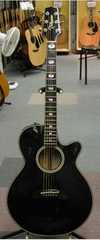 Takamine NPT115.jpg